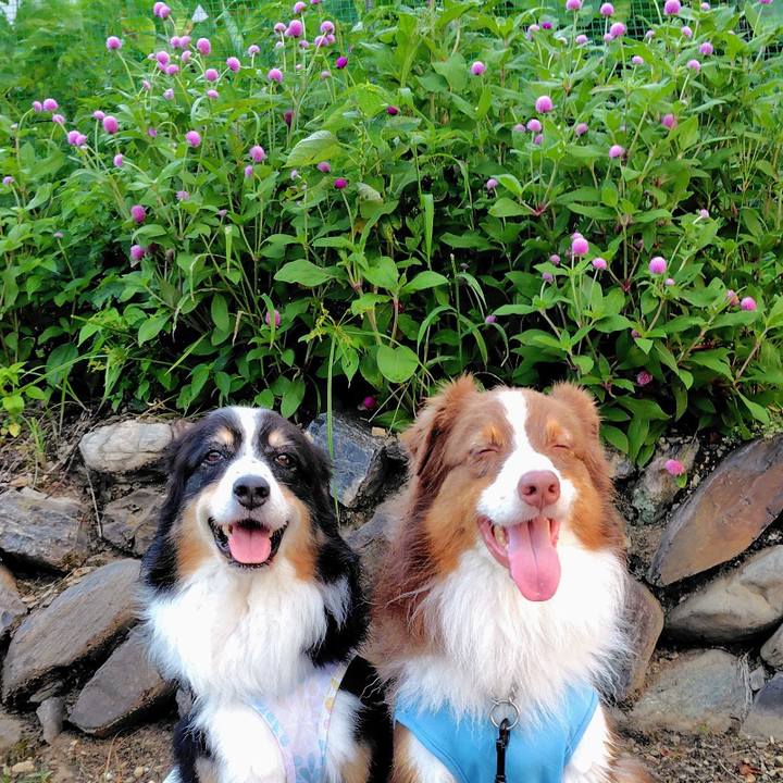 5f5eb2d3 9fef 4282 97a3 033e3b5519c7 1757762984645