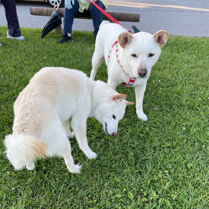 5f5eb553 3616 4585 8fdd fd978c45a314 1653665289832