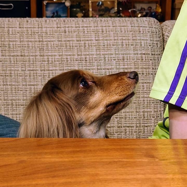 5f5ed2a1 c51f 4ba1 8eb9 9f5ef9960fd4 1683900251274