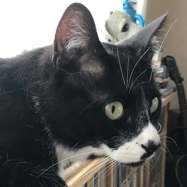 5f5ed3f2 b3c3 4849 8fc1 0c11b9b5ca6f 1595044111244