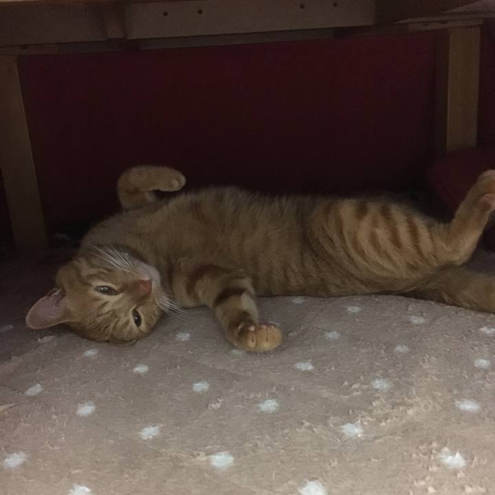 5f5ef490 8894 46ca af4d 8138a64e1c80 1511008170446