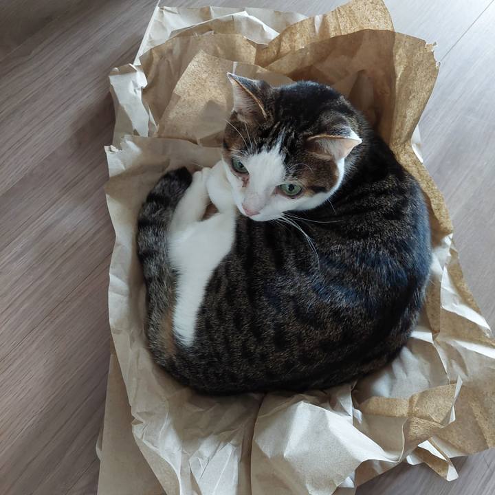 5f5f6f35 ddb3 4100 bb2e 59a360a32588 1722482731371