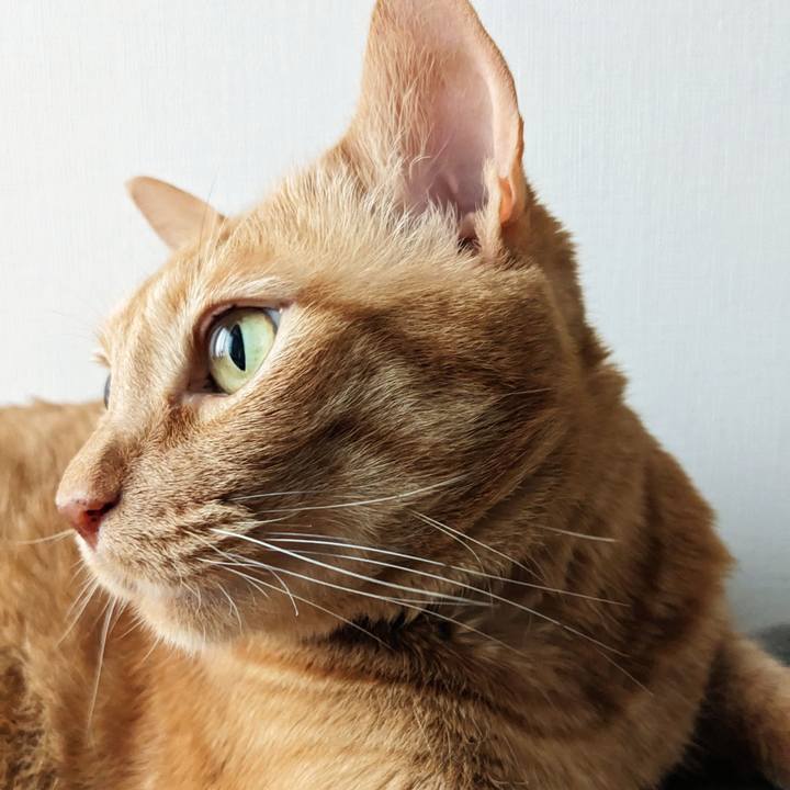 5f5f6f55 8877 4139 86e6 e68fc7d6c0b2 1684968897193