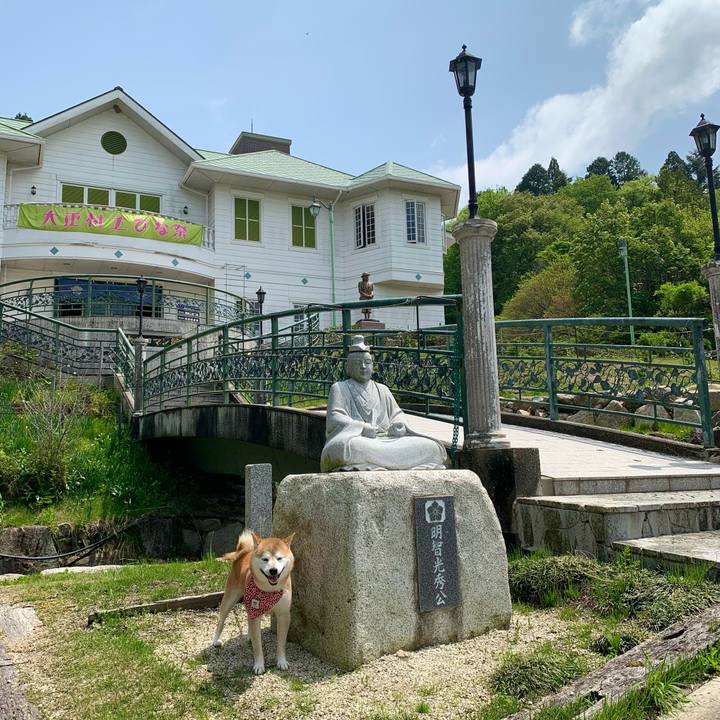 5f5f7985 5fa6 4682 9804 347fff40430d 1651662454603