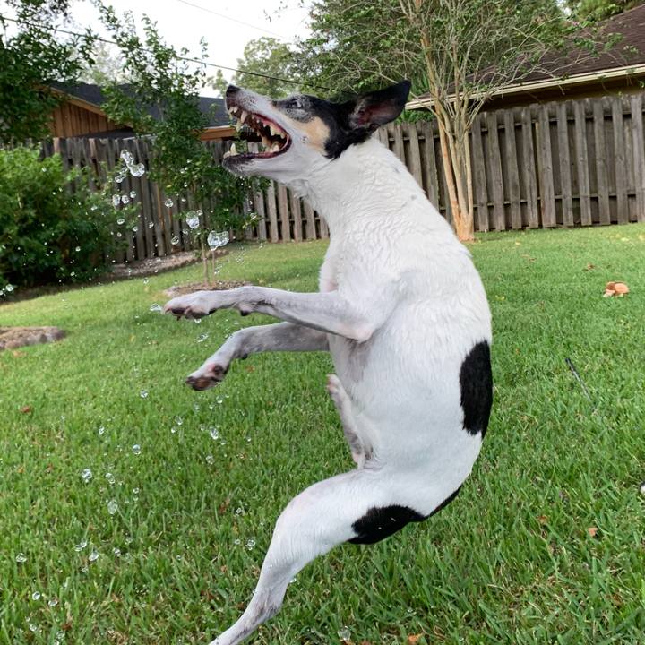 5f5f7cb3 c1e8 4136 b361 ba147549bcf9 1598911409495