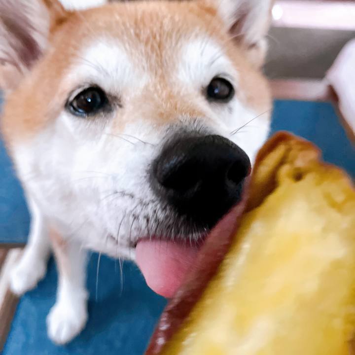 5f5fd7ed a54b 45a5 b63a dcac7aa9b649 1721090323384