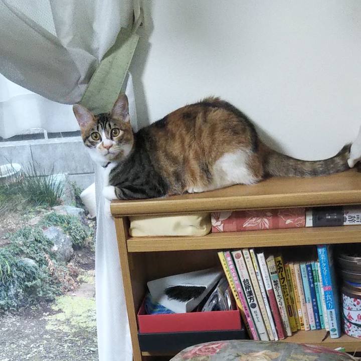 5f604f07 20e9 41ff 8e8b 31def1d9d519 1642386351234