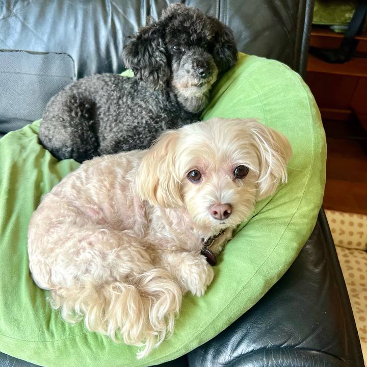 5f604ffb f08b 4ec1 8418 e26dd72ef7a7 1757492368527