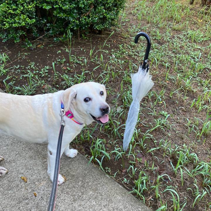 5f605632 95e4 404b ad78 4abd19bb2d28 1757117421259