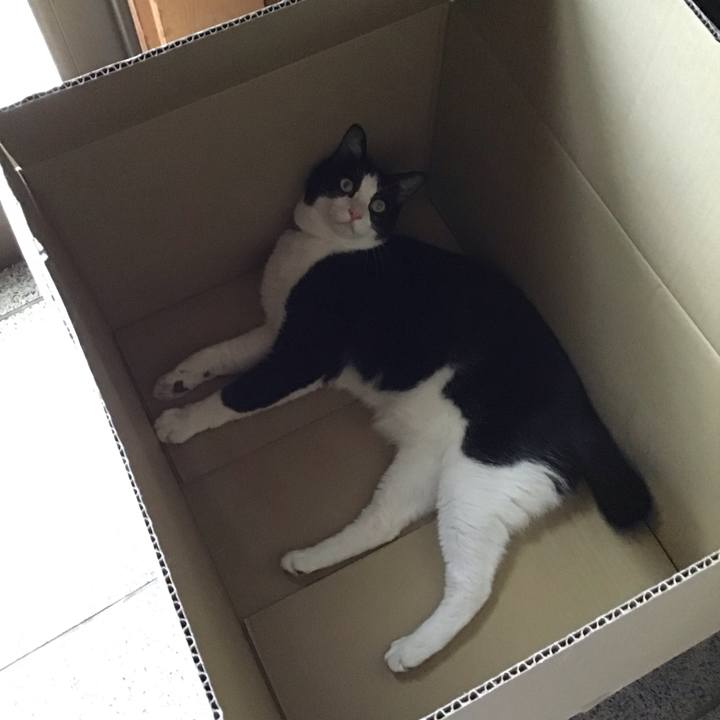 5f605954 96da 403c b34c d7e7fb03d7fd 1756279492943