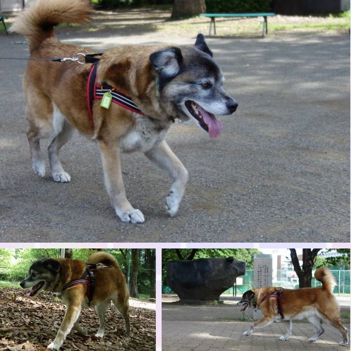 5f606ad1 eb11 4b6b acfb ebdc5f2960aa 1525571717100