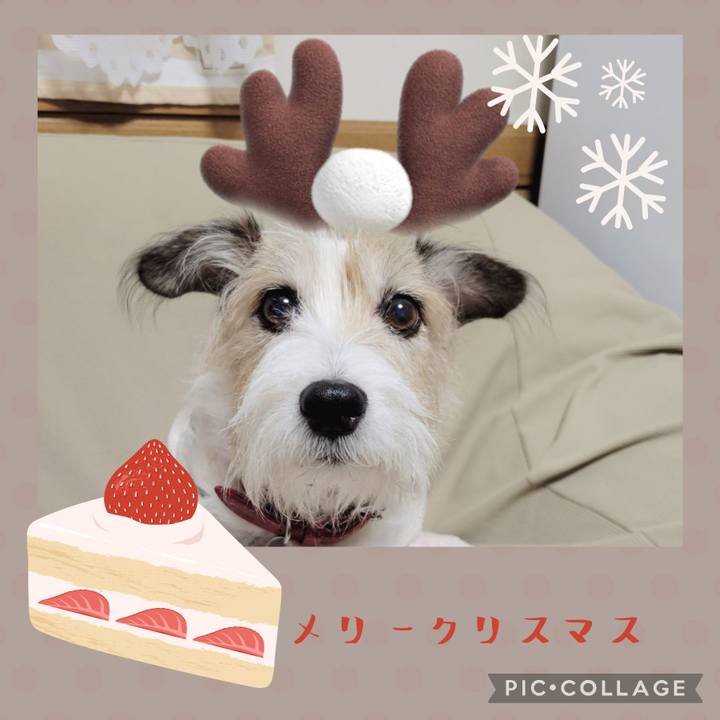 5f607f2a 01df 4db3 9010 c0aacf9809a8 1766582612573