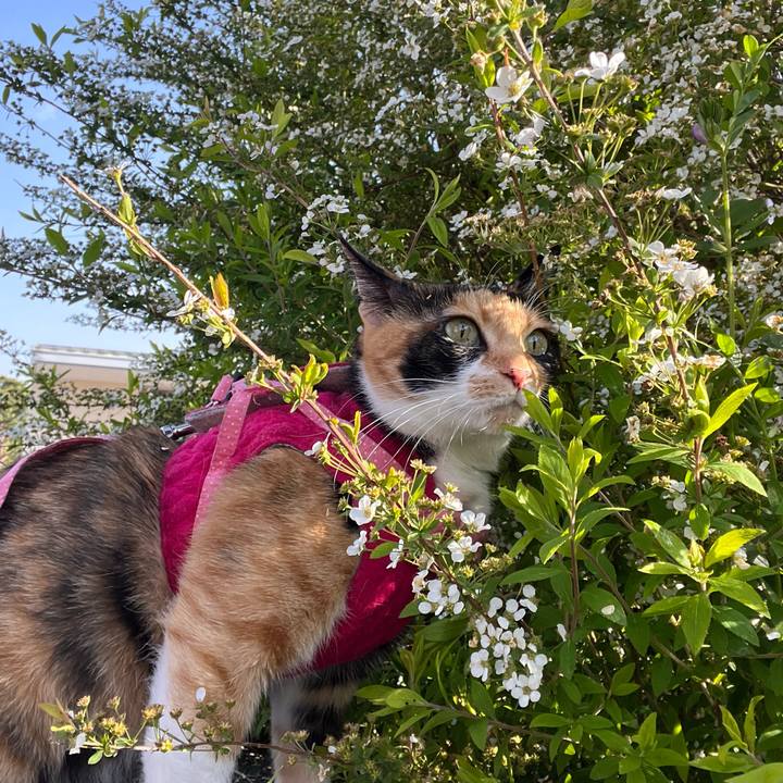 5f60928f 9e12 4dfe bdf1 e6a434bf3df5 1682117098393