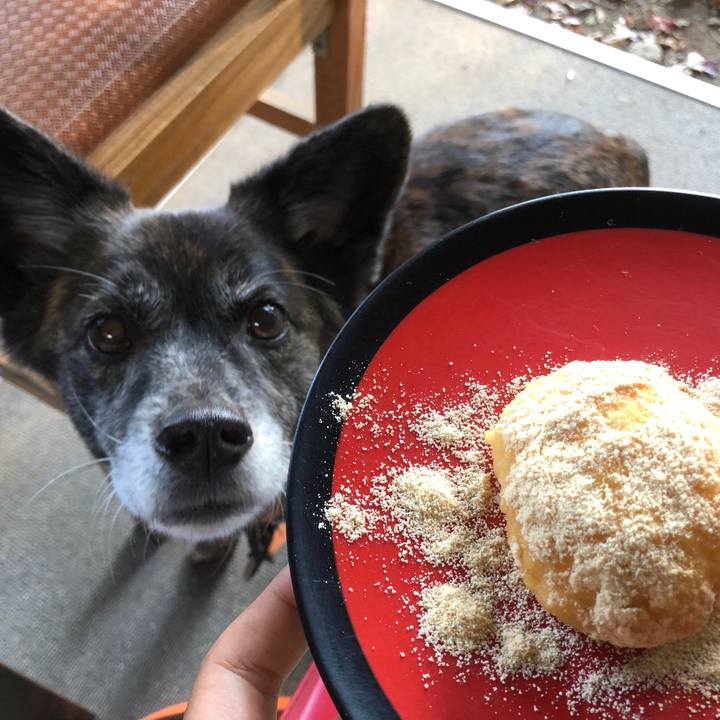 5f6098b9 94e0 4984 98cc da4f11367081 1606261372147