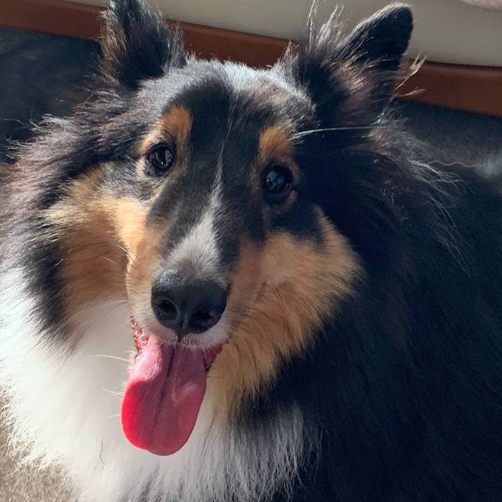 5f60cdba 845e 4084 a067 2b1ea8bf0442 1598564884798