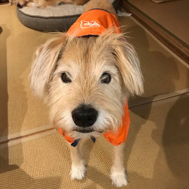 5f60e27b 2761 4128 81a4 c0ccb6f95921 1602246510962