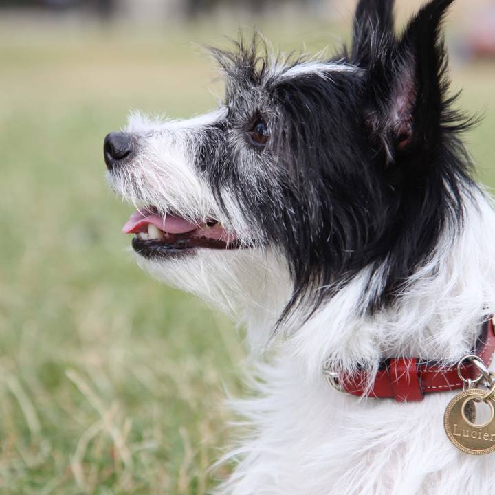 5f60f60b a0c8 4154 8a4a ff23c355f146 1686571546879