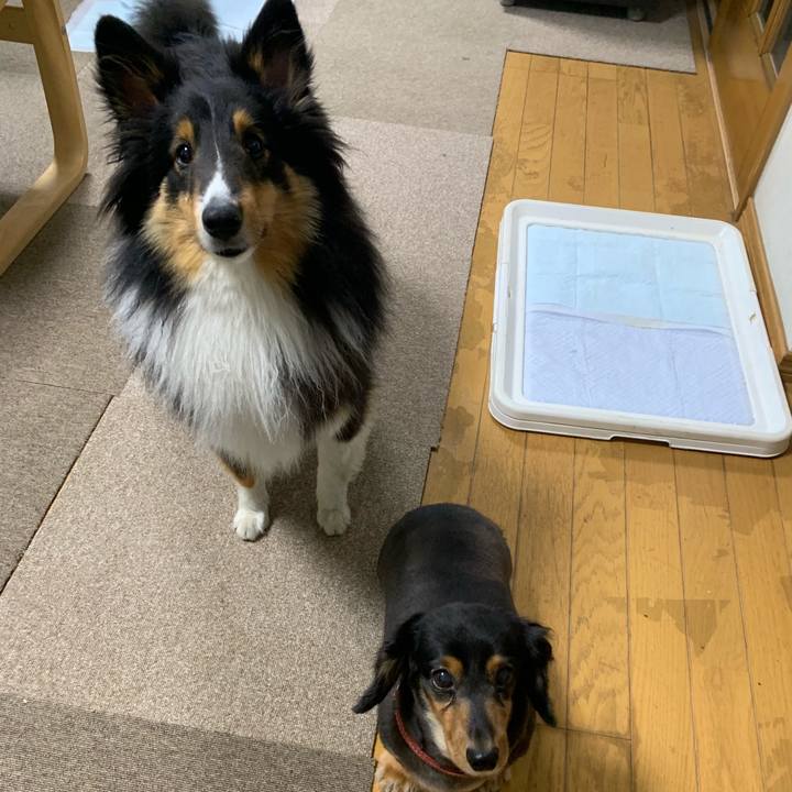 5f614730 9d54 4bf2 98c6 88f77ad3f7b6 1562189911297