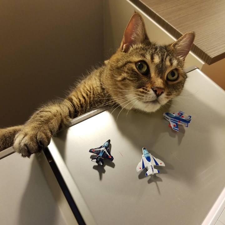 5f615128 1dd4 4956 9e02 2ea838bd2ec0 1590961485259