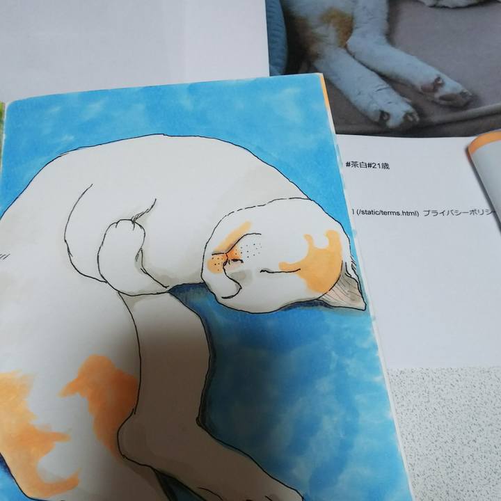 5f615229 5c36 4991 92fd af3e4bbb8cfa 1537766687116