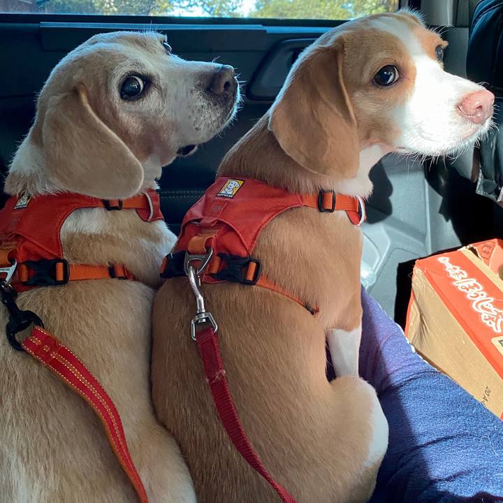 5f61555f 56dc 4111 b990 b781807cef49 1596713699046