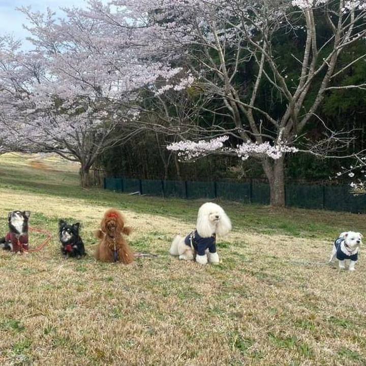 5f6157ac fabb 4993 9fad 17f36011e226 1649026020017