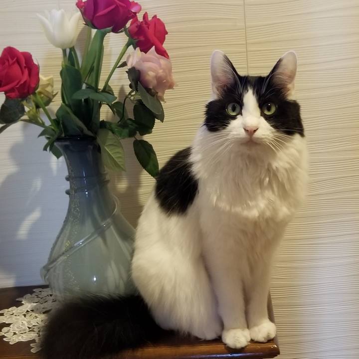 5f619db0 83ab 401f 98d7 f28508178d37 1580939398130