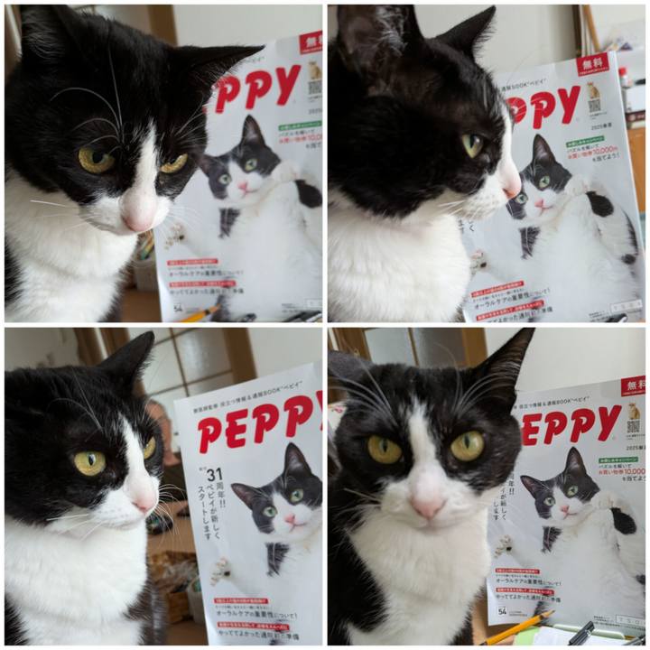 5f61c9de fd45 4108 ab19 dc62345756ad 1749454334139