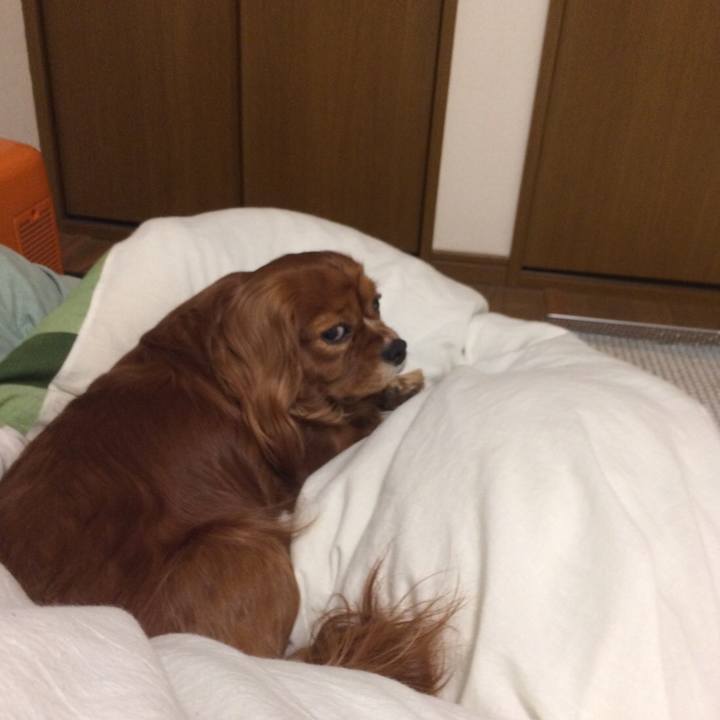 5f61df6a a5e4 4a7a 9702 a1fc3107cddc 1611062336282