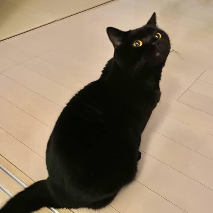 5f623c22 390a 4d2a b043 5a1acf56d14c 1671454642408