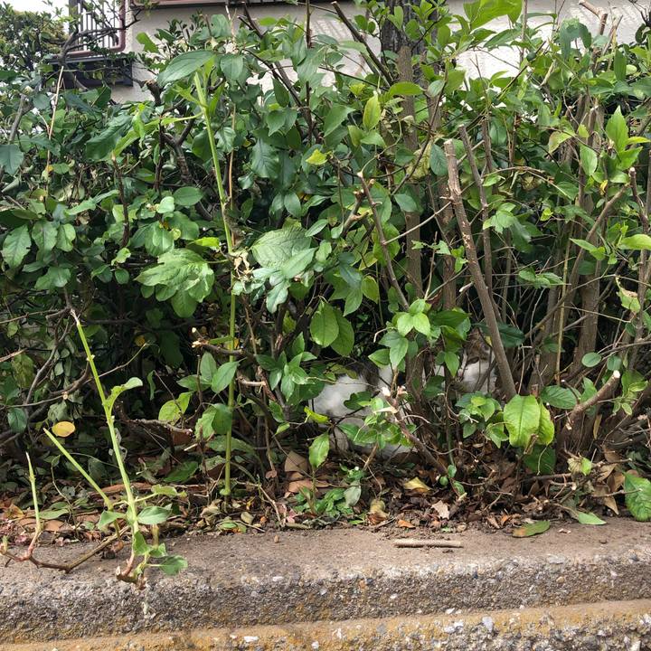 5f6247b5 2ddc 4c75 952b 3a802ffc5280 1560603993646