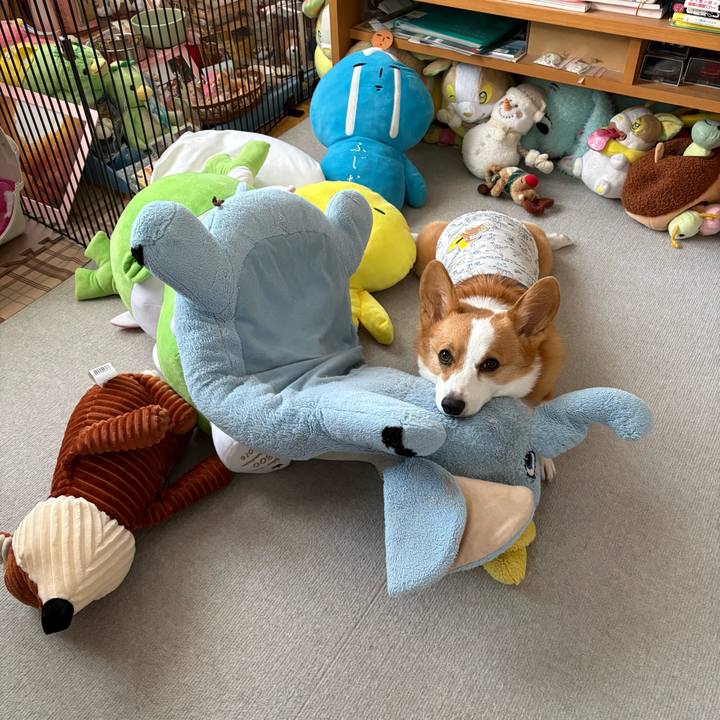 5f6278fc 35da 4879 8c85 12cb2b443168 1767075427258