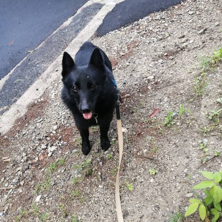 5f62a43f fd42 4014 a62a c4350ed27f4f 1620853281598