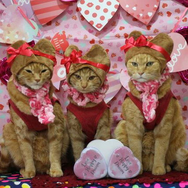 5f630fbd fce5 4403 bbbe 7899f95cad96 1550145278346