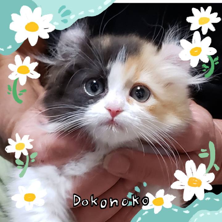 5f631886 64de 4534 8fd4 b566d59e0b92 1712204151297