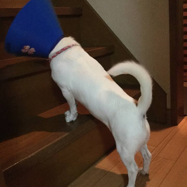 5f635033 87eb 45de afb5 b4e3824ed08c 1537437228969