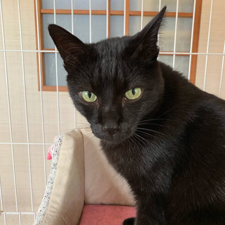 5f639e8e 54ee 4f0c b28b e7a2cdd321f7 1542330577274