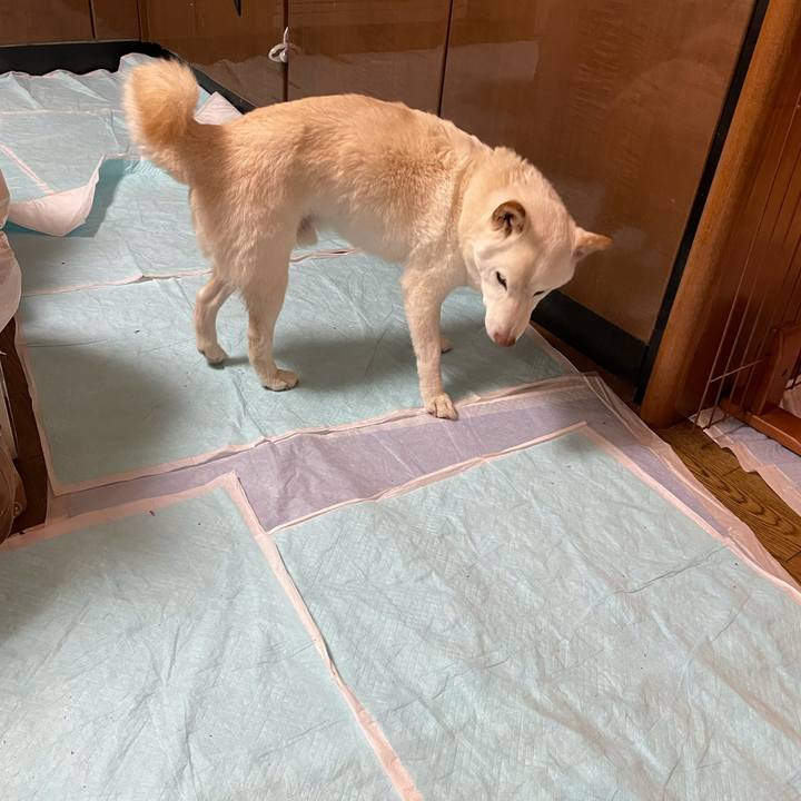 5f63a57c 694a 4cef 8d9a 6968f9a6950c 1640950890047