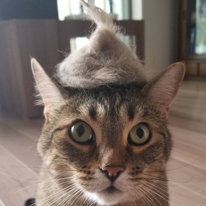 5f63c5ff 82f6 4bc1 941f 05f54085a6c1 1593219554098