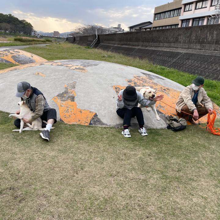 5f63ccd4 5efe 41c0 bd4d feeec68cd4ec 1679915892222