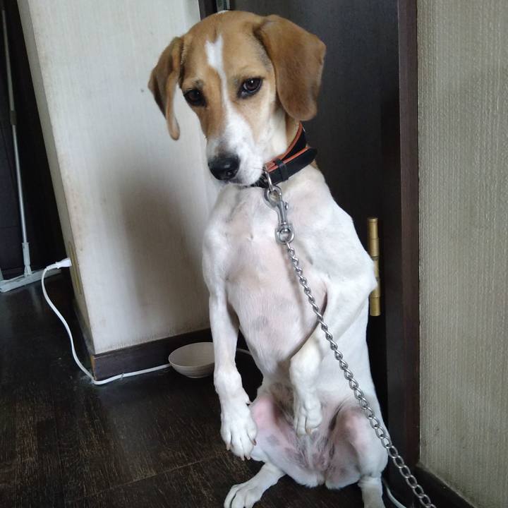 5f63e848 d35a 4d70 89e1 0f2d18ccabb9 1630472131698