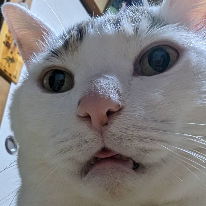 5f63f1cb 1c8d 49f3 99dd c85f2dd250ec 1673950268899