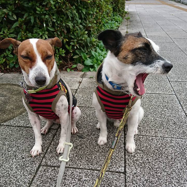 5f63f526 7478 4456 9068 2db6d3efac66 1602454876422