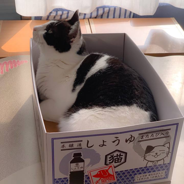 5f640053 9a6f 45ab a157 320e7419d7c1 1557369005982