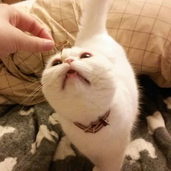 5f6410df d9b2 4c0b a893 8dd571b8249a 1521154821196