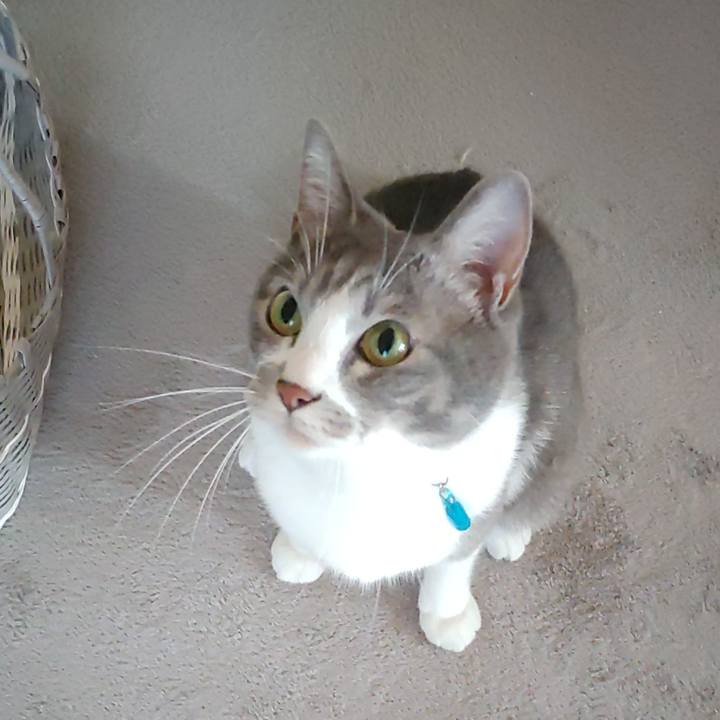 5f642d5c a81b 4082 8eed ff54e0dd3fbf 1660083716732