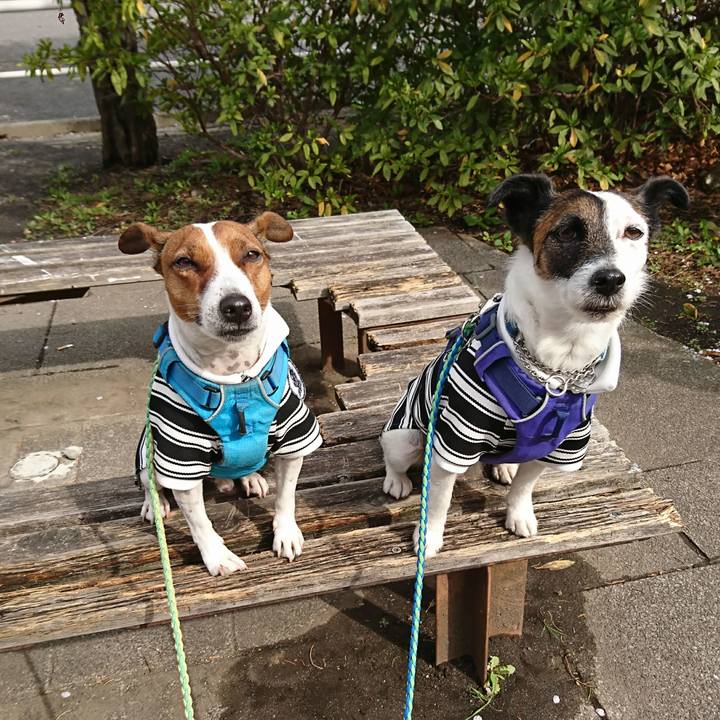 5f643320 ea99 4263 a0c3 42e5067fd730 1616371193828