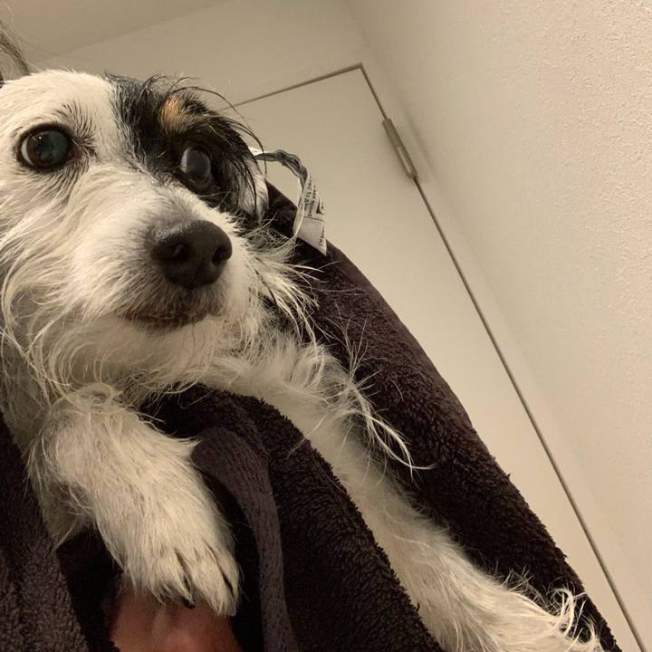 5f6451f6 8da8 4e19 b5a1 af746081ced5 1683449679010