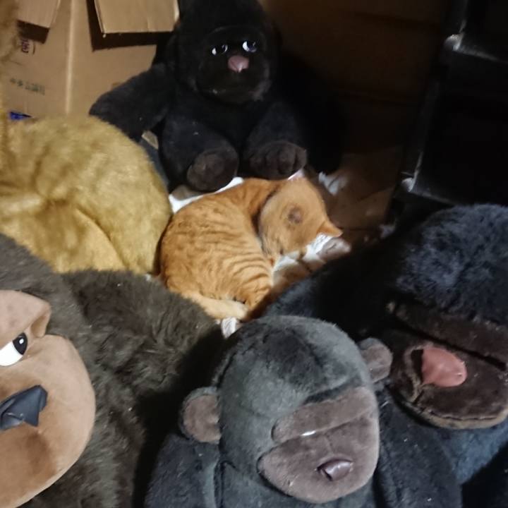 5f64752b 362c 4fbc 8b94 68aa6eb99f66 1603713362227