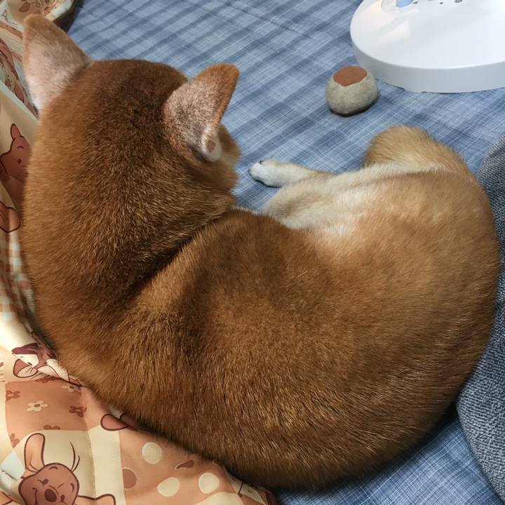 5f64bb66 7ff1 47ab 88be da75307e3d03 1520558308996